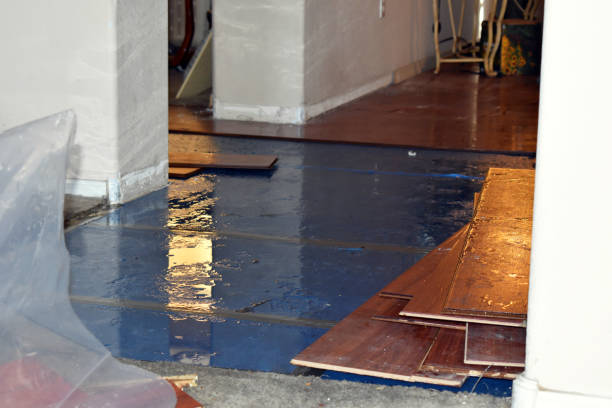 Professional Water Damage Restoration technician working in Loma, CO